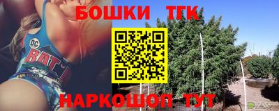 крисы Беслан