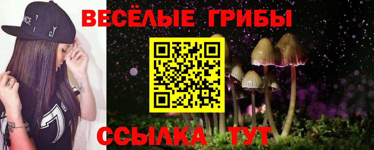 Кимры  Псилоцибиновые грибы ЛСД  Вход с VPN 