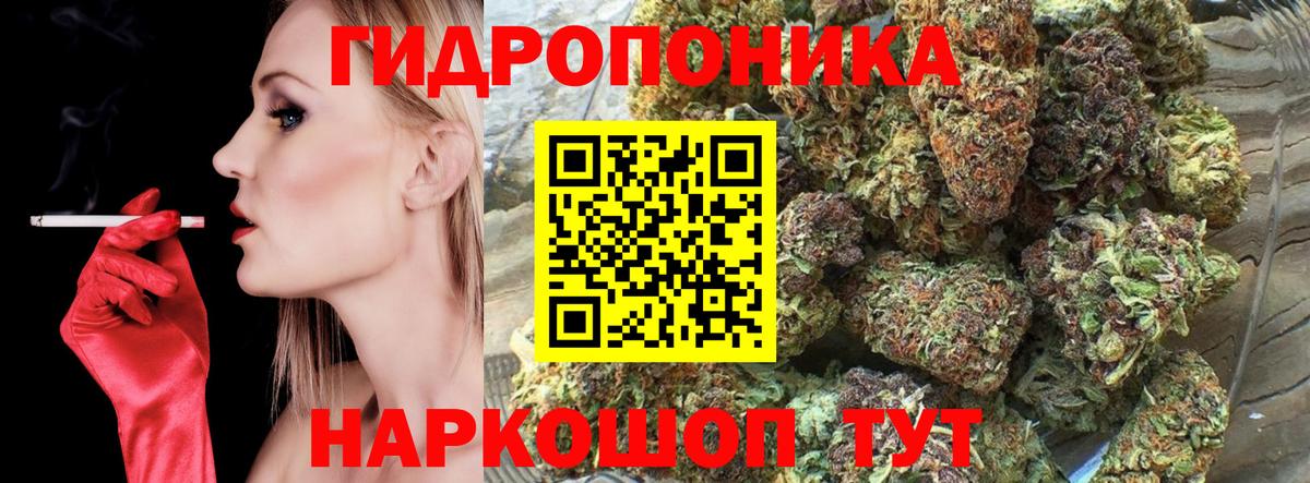 Канабис OG Kush Кимры